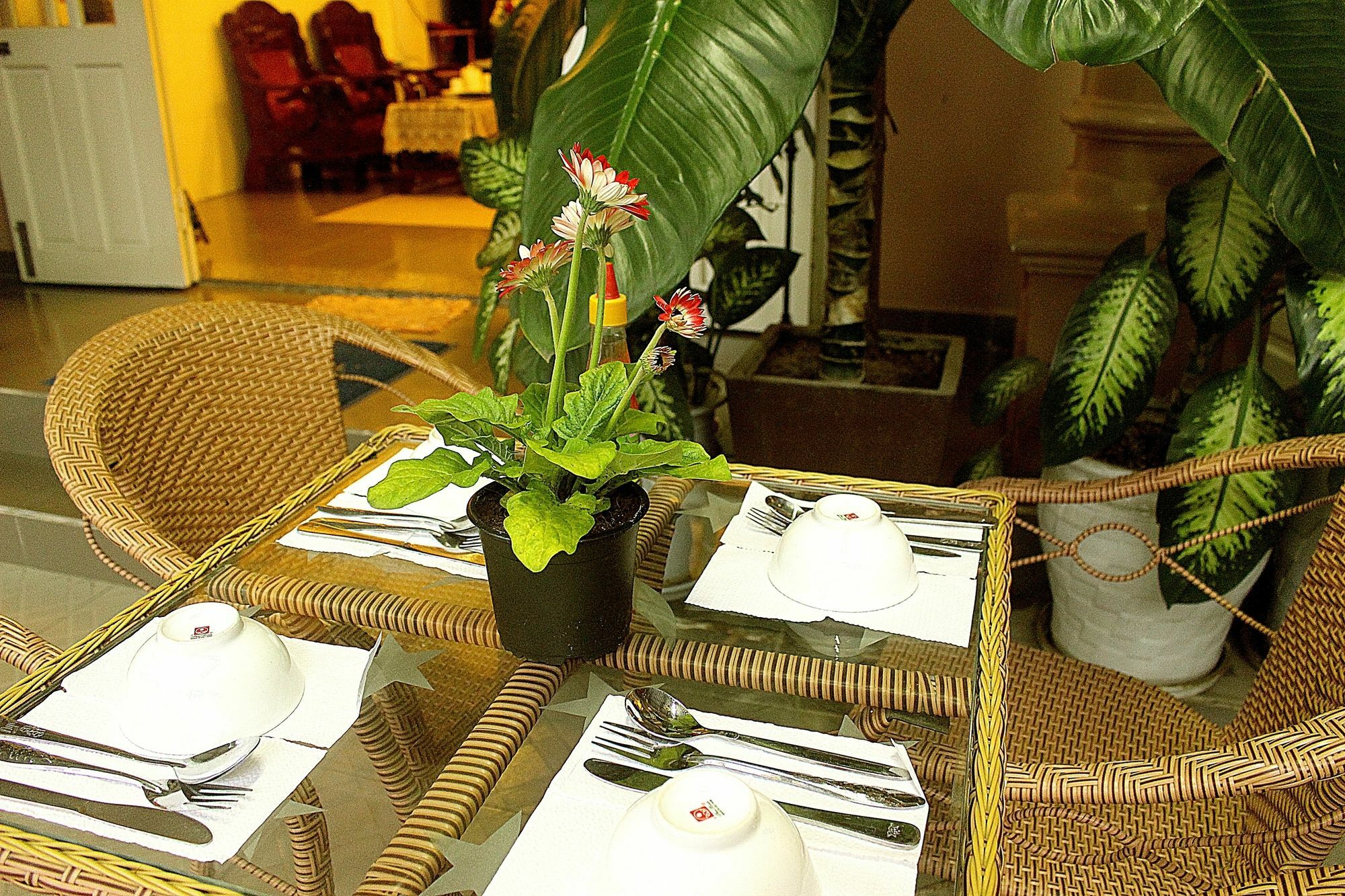 Quy Long Homestay ฮอยอัน ภายนอก รูปภาพ